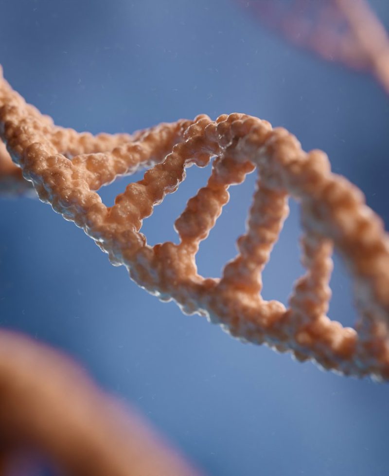 DNA sarmalı